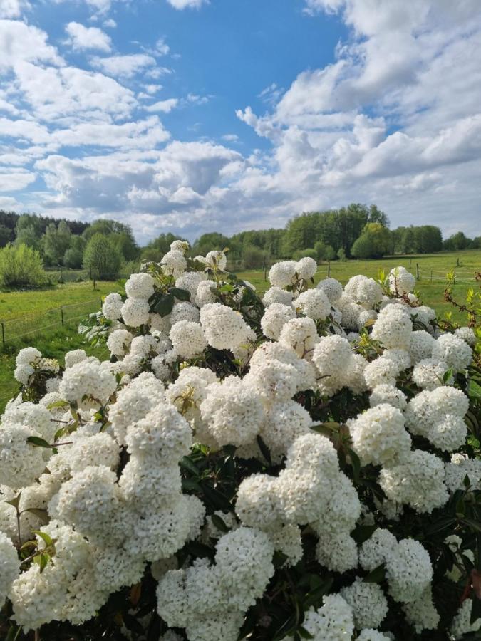 Woodhouse Spreewiesen Burig Dış mekan fotoğraf