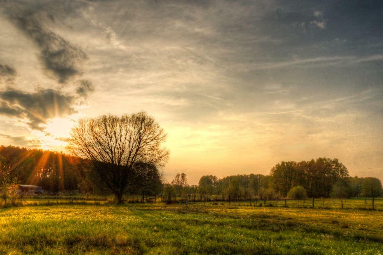 Woodhouse Spreewiesen Burig Dış mekan fotoğraf